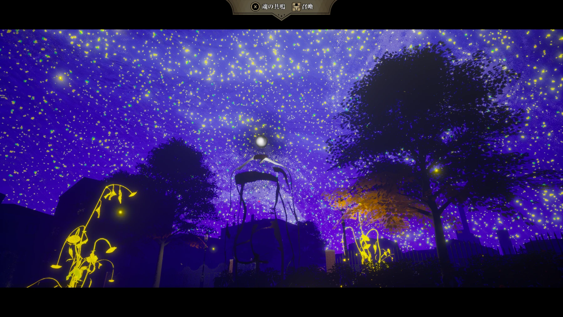 星が広がる夜空を見上げる主人公